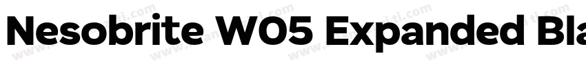 Nesobrite W05 Expanded Black字体转换